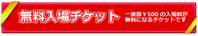 kagushow入場チケット
